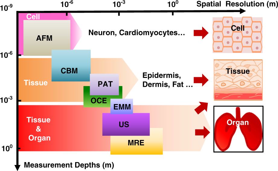 Fig. 5: Summary of microsystem technologies with various measurement scales.