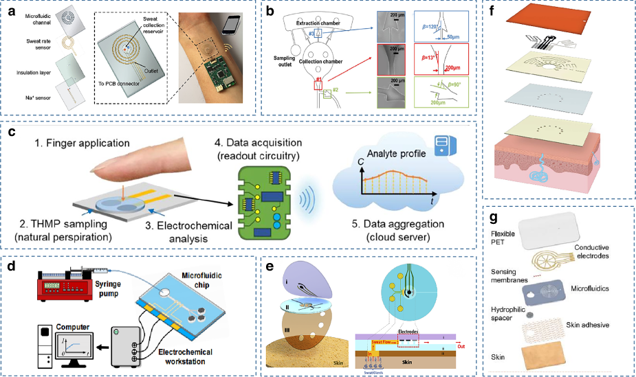 Wearable and flexible electrochemical sensors for sweat analysis: a review  | Microsystems & Nanoengineering