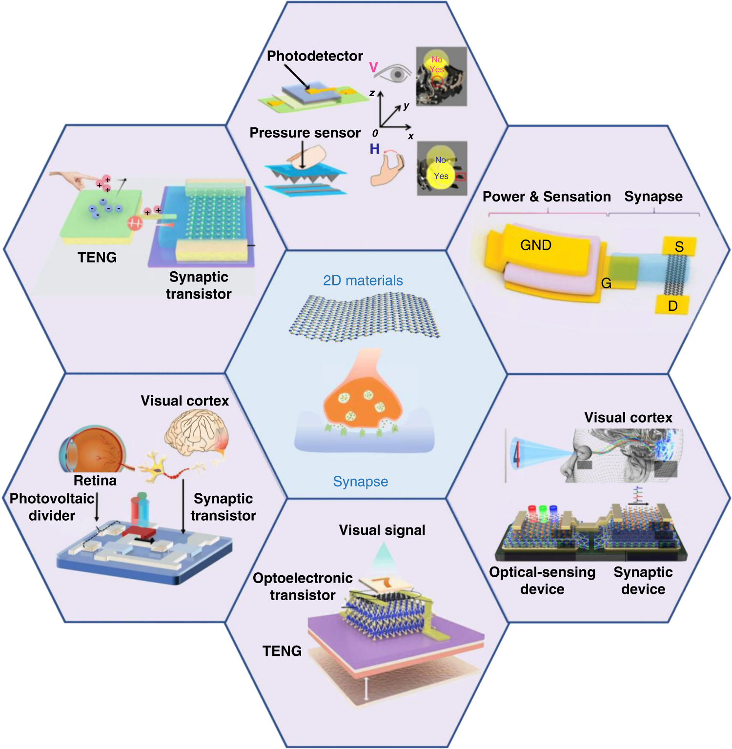 Fig. 2: 2D material artificial synapse and its advanced applications.