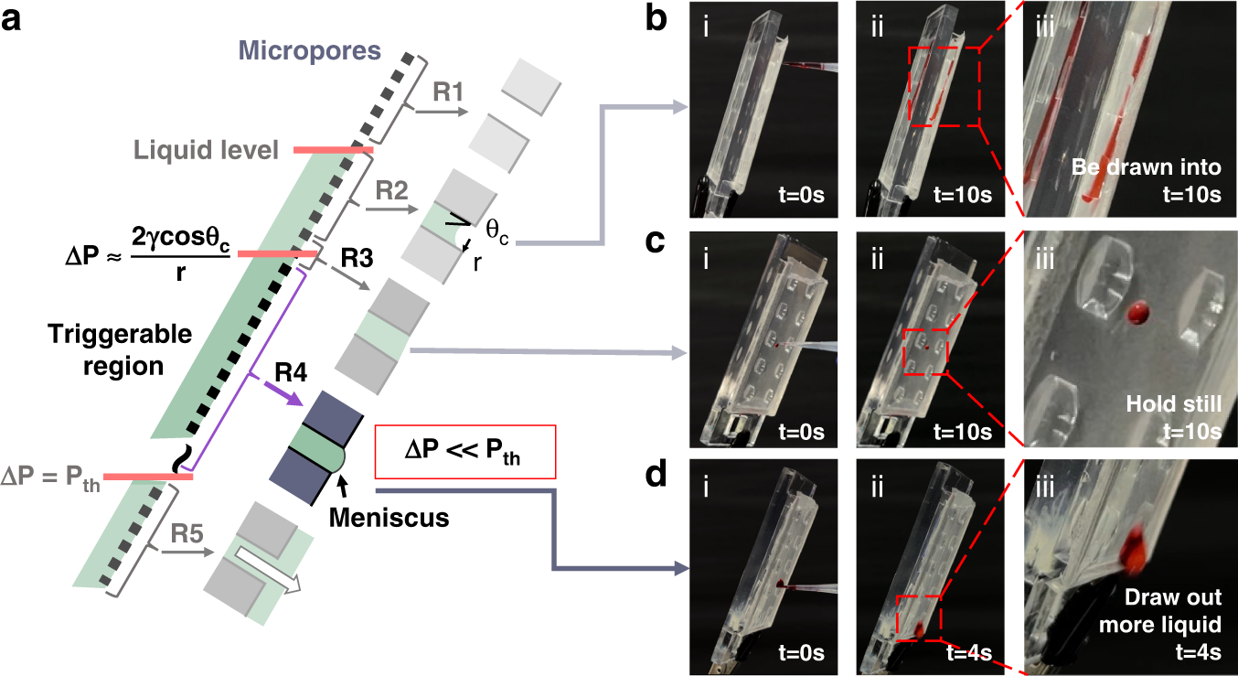 Fig. 2: Descriptions and exploration results of the triggerable region on inclined micropore membranes for self-wetting.