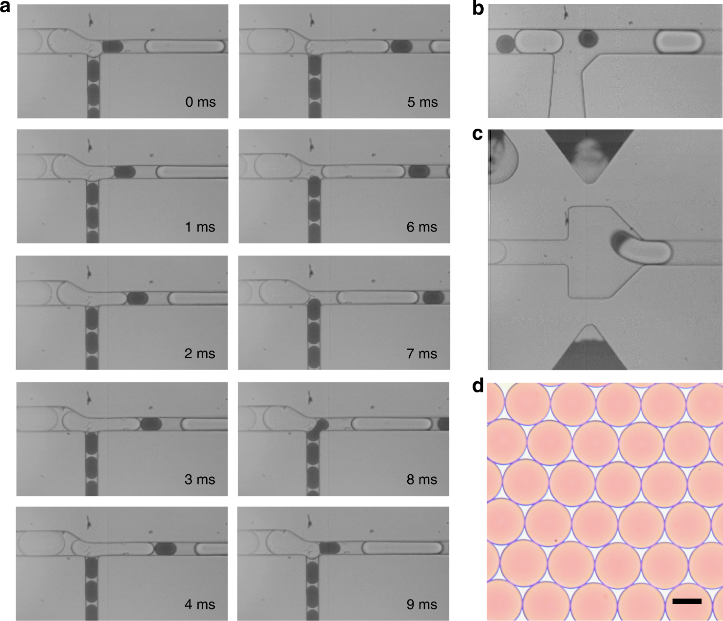 Fig. 2: Synchronization, spacing, and merging of two sets of reinjected droplets.