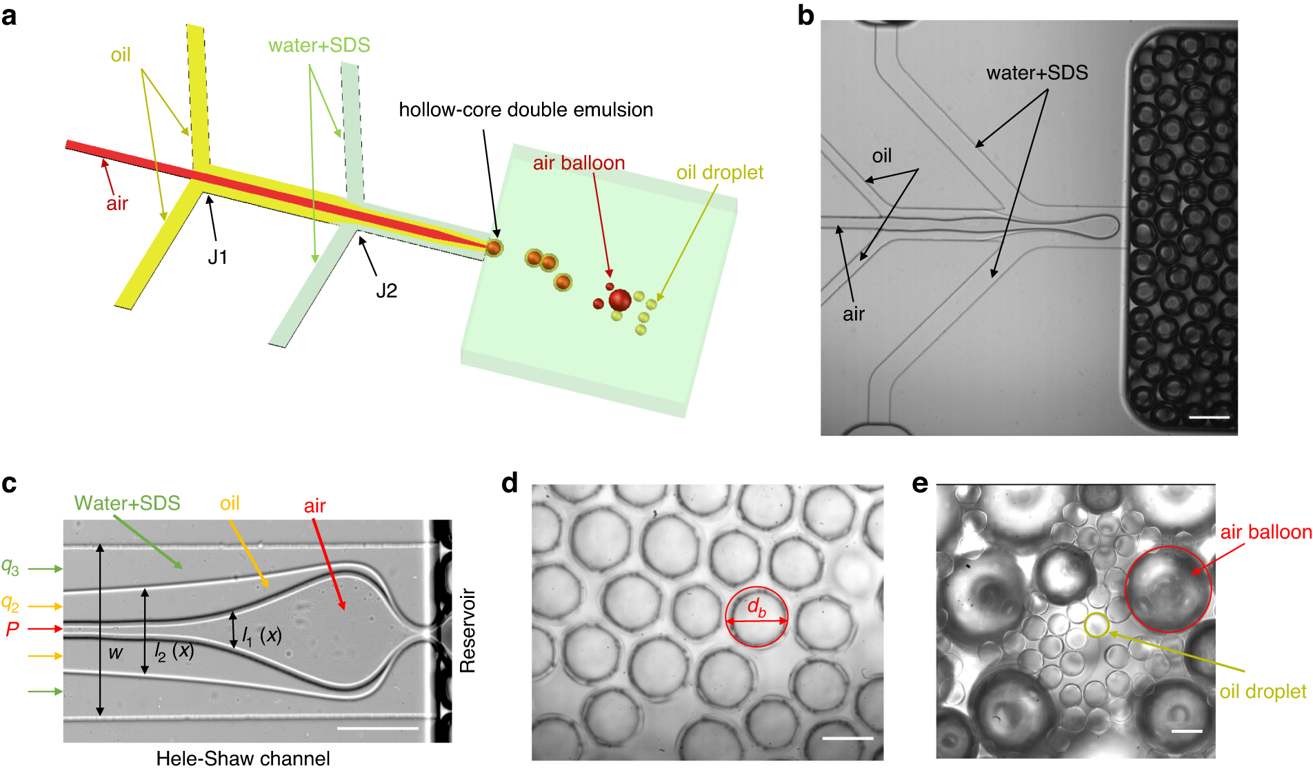 Fig. 1: Oil droplets formation by air-assisted step-emulsification.