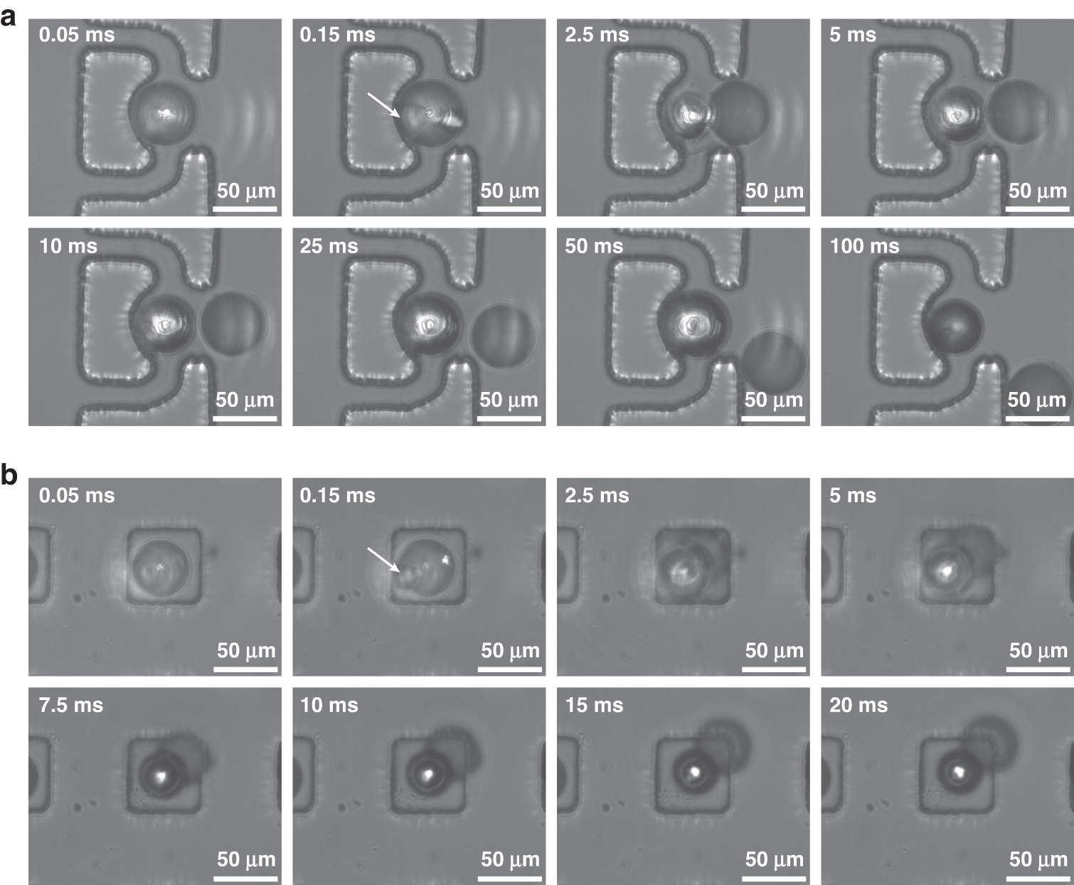 Fig. 3: Release process of droplets stabilized by f-Au@SiO2 in passive traps.