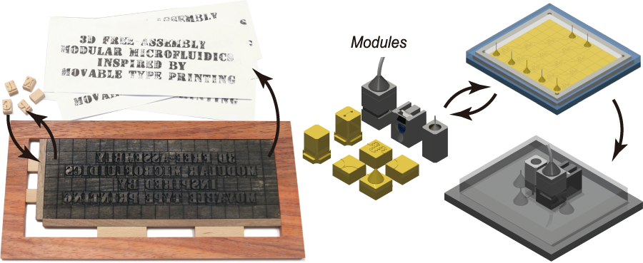 3D free-assembly modular microfluidics inspired by movable type