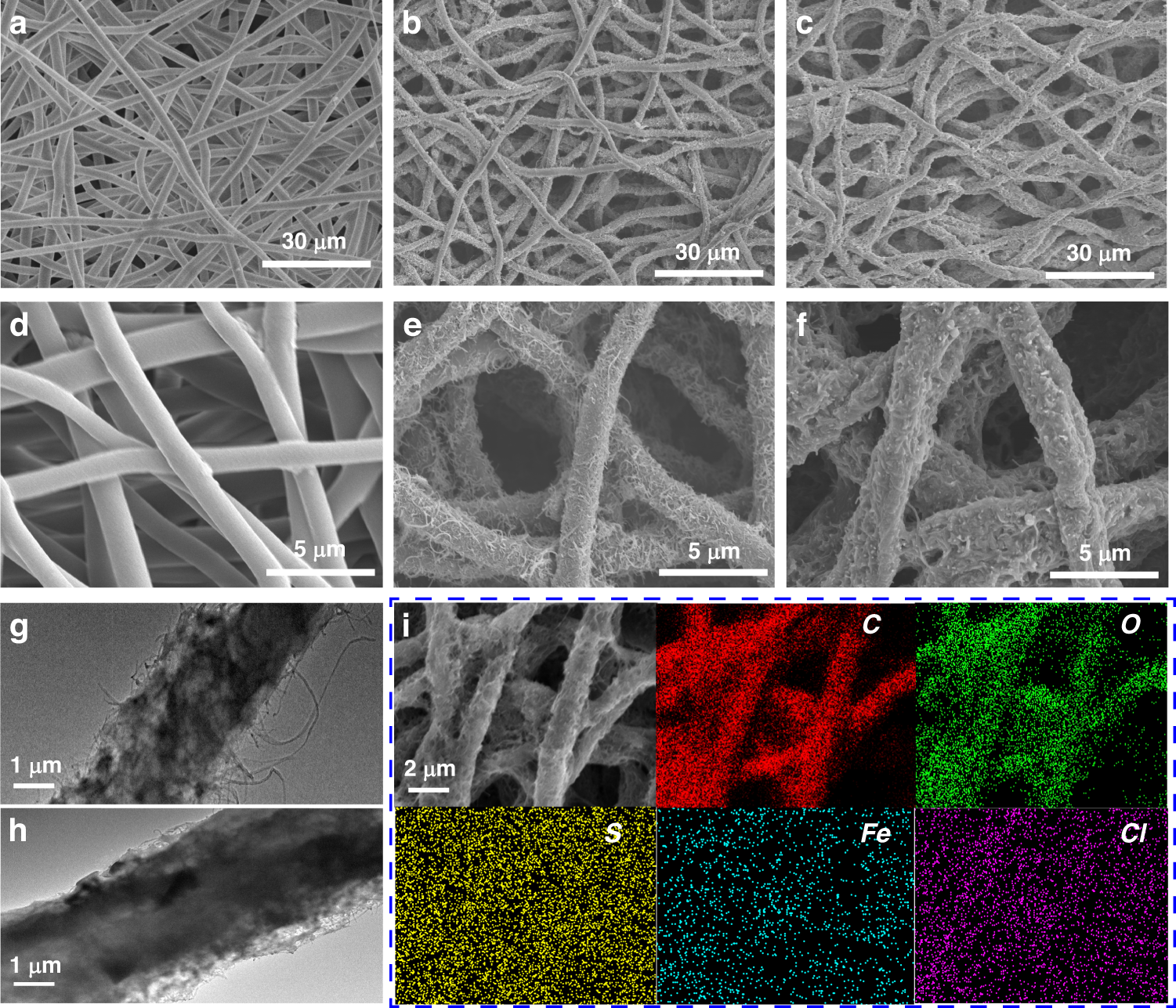 Fig. 2: Microstructure of the as-prepared fibers.