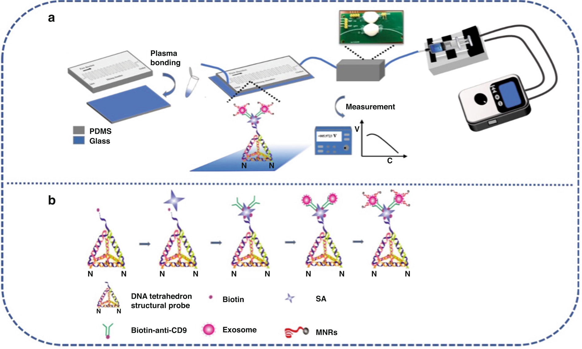 Fig. 1: Working principle of the constructed μFMS for on-chip TDE capture and detection.
