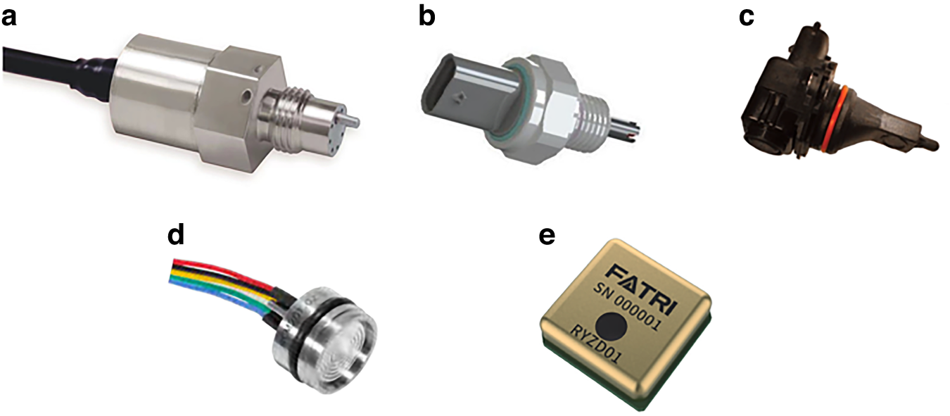 Fig. 10
