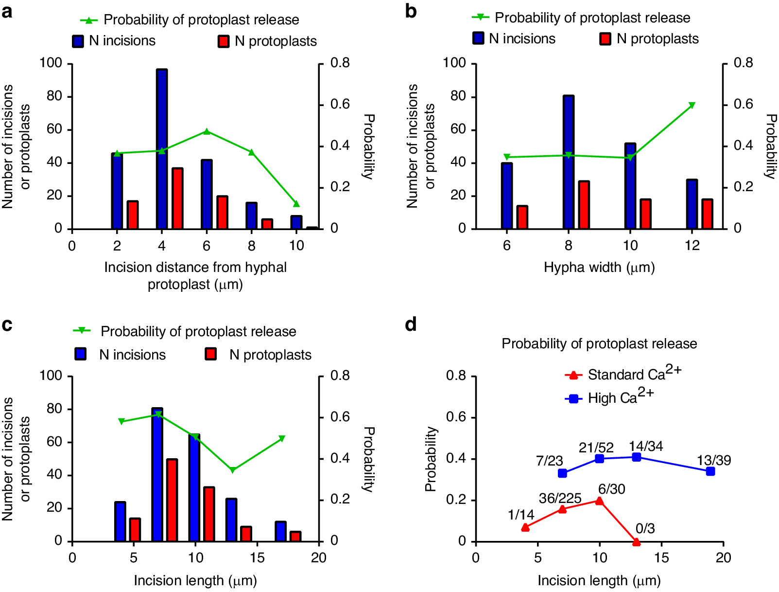 Fig. 4: Parameters affecting the probability of protoplast release.