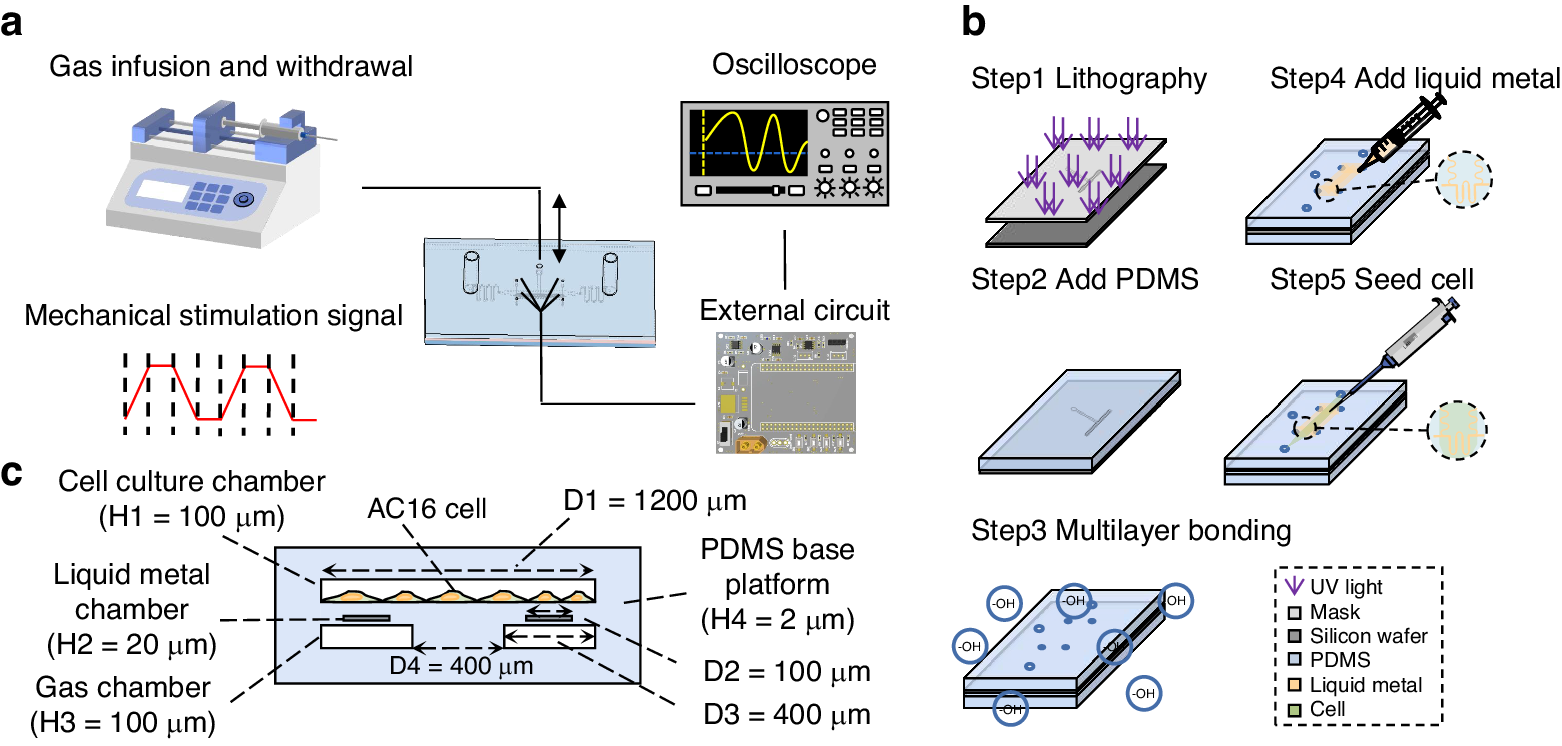 Fig. 2: Experimental system and experimental flow chart.