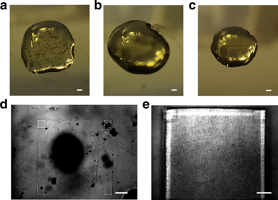 Fig. 1: Overview of dispersibility and printability of photosensitive resins doped with different conductive nanomaterials.