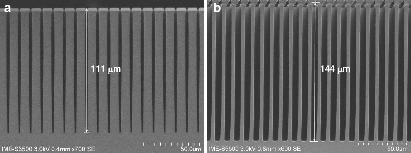 Fig. 2: SEM images of some samples to be tested in the experiment.