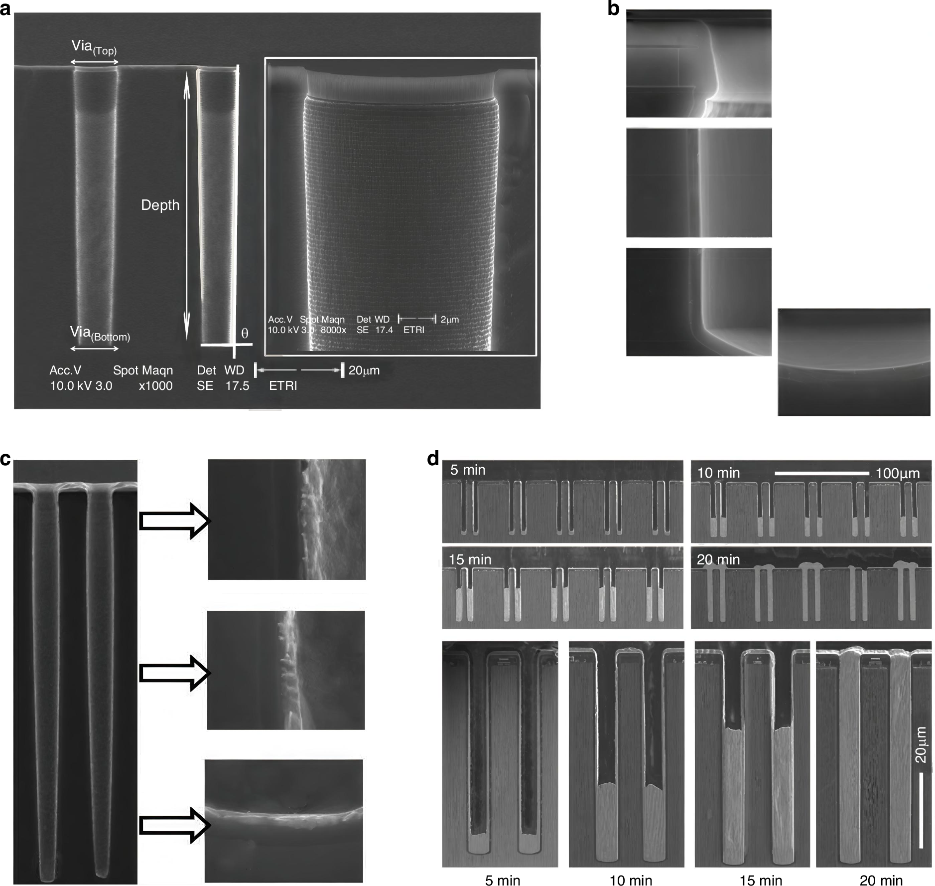 Fig. 10: Schematic diagram of the TSV electroplating filling process.