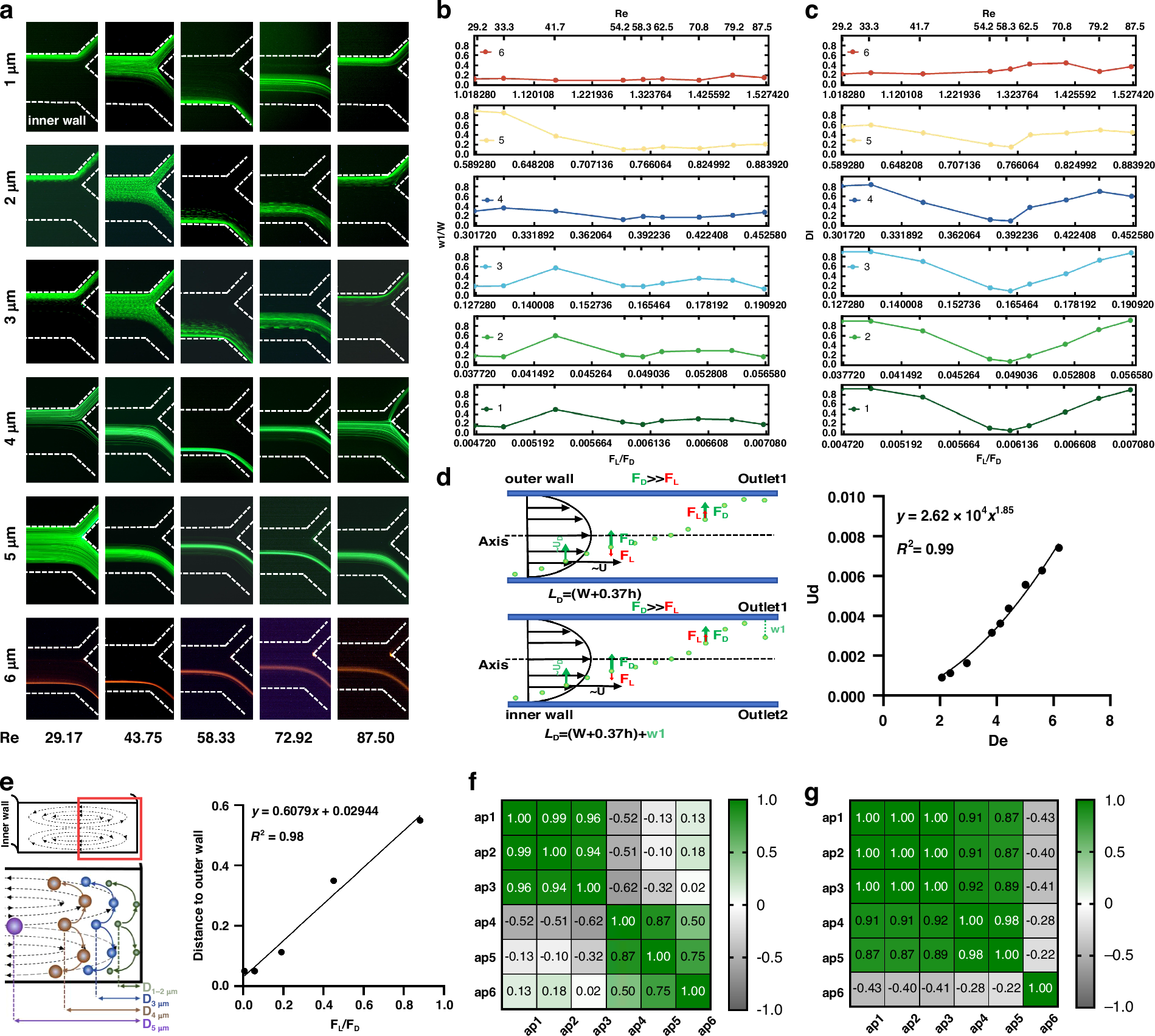 Fig. 5: Effect of flow conditions on particle migration focusing.