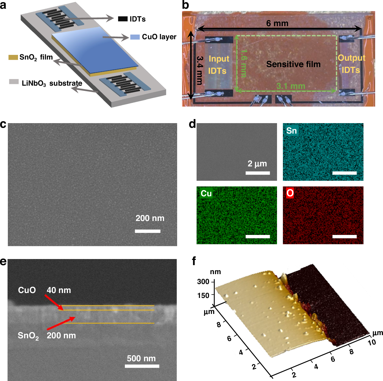 Fig. 1: Synthesis route and microstructural characterization of the SnO₂-CuO composite film.