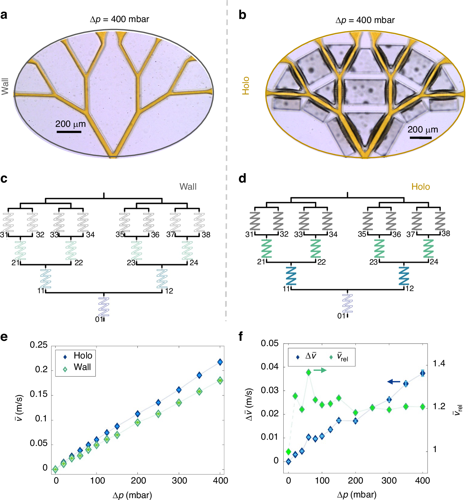 Fig. 3: Comparison of wall and holoelastic devices.