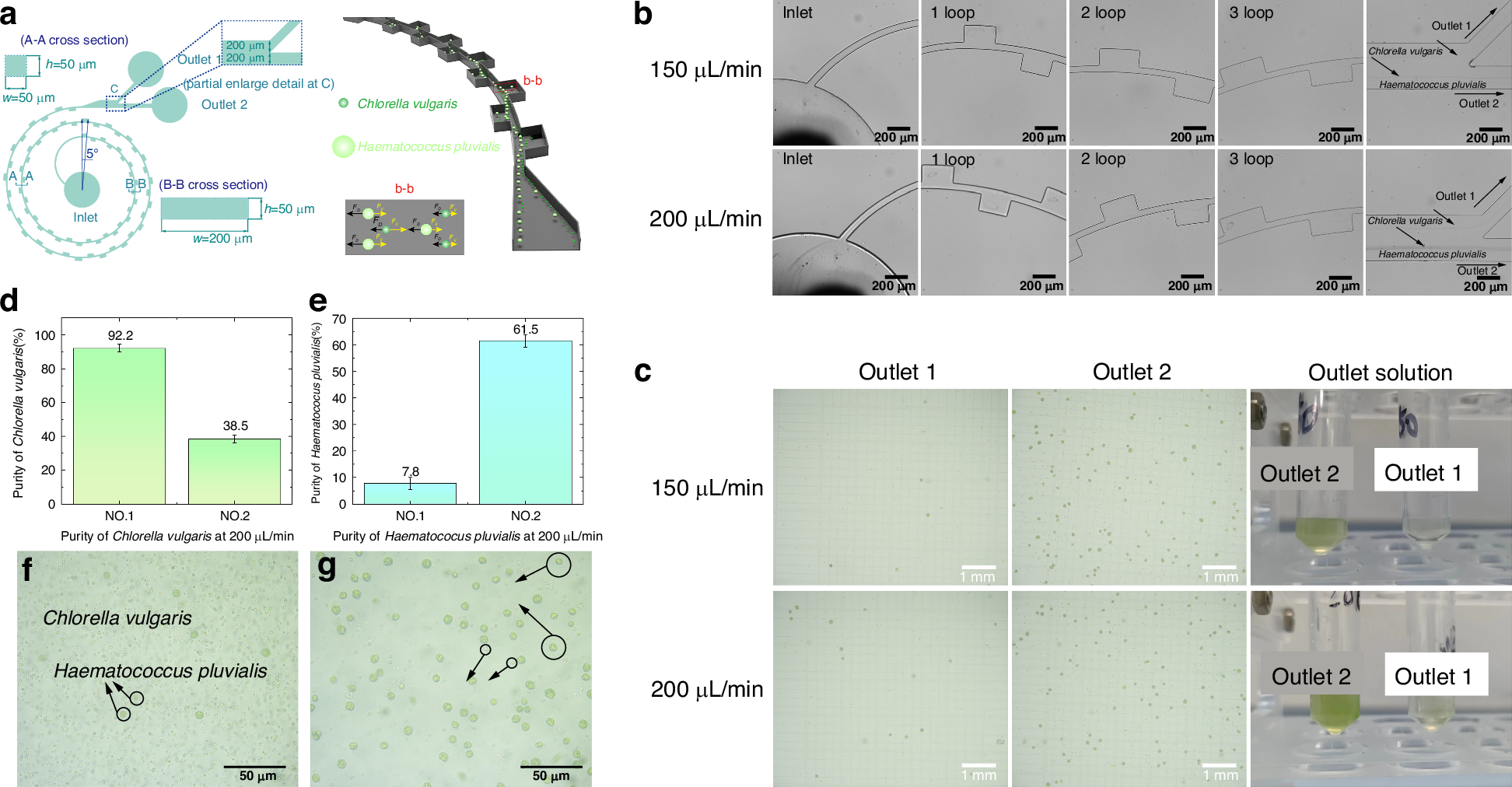 Fig. 6: Separation efficiency of microalgae in spiral contraction-expansion double-sided coupled channels.