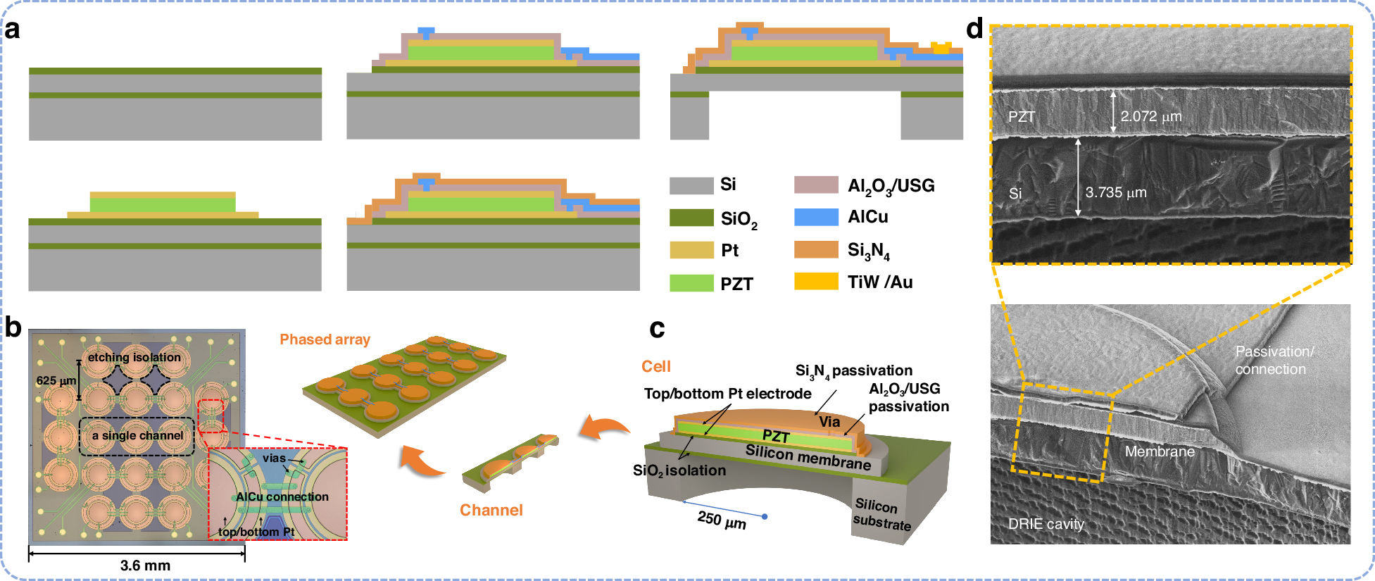 Fig. 2: The structure of the PMUT device.