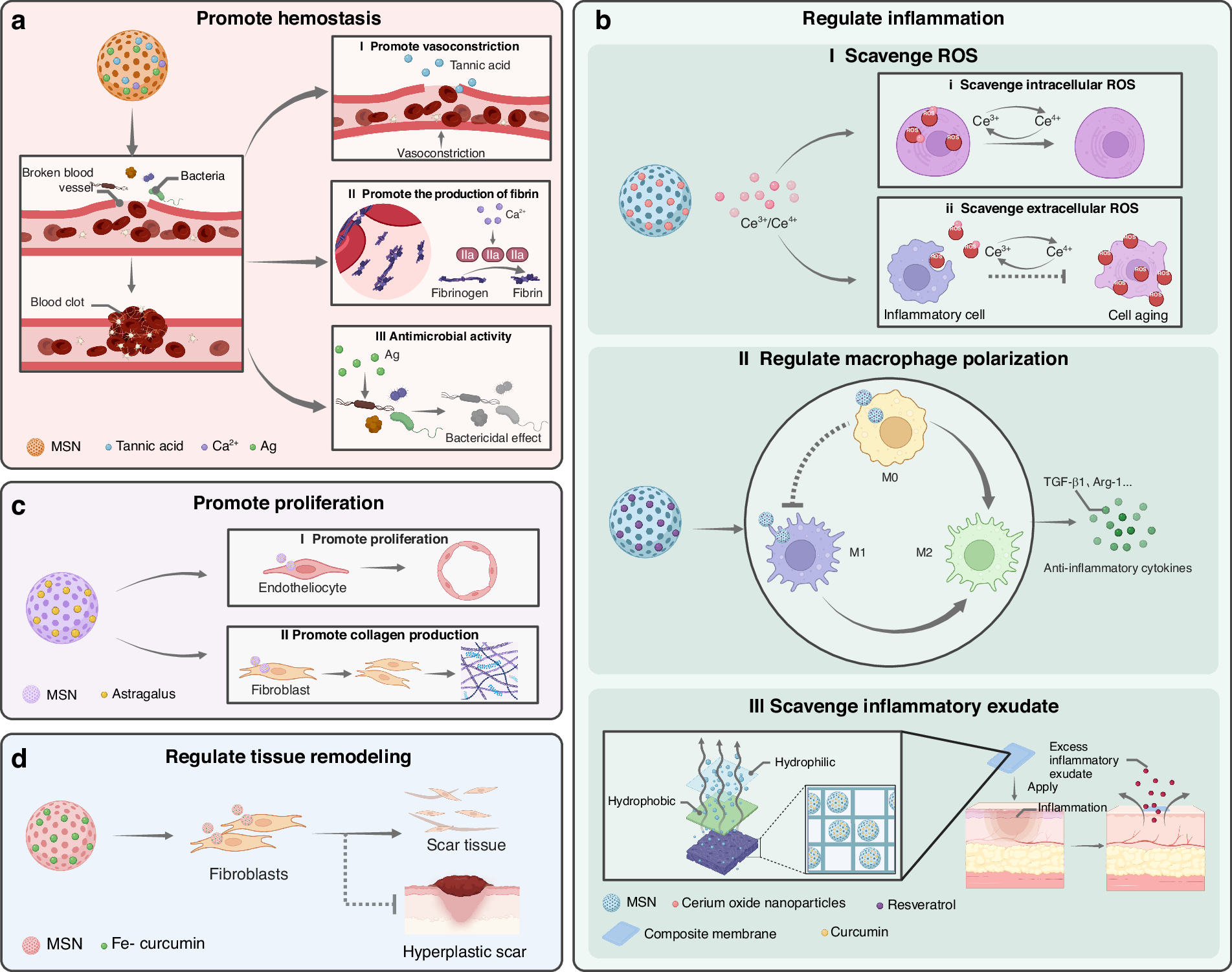 Fig. 12: Applications of silica nanoparticles (SNs) in wound healing.