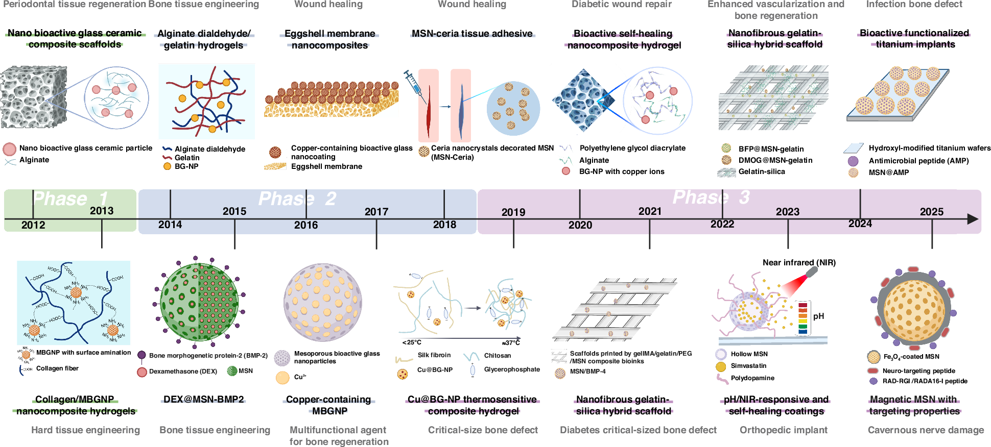 Fig. 1: Evolution and applications of silica-based nanobiomaterials (SNs) based on the most cited publications from 2012 to 202573,86,110,118–126.