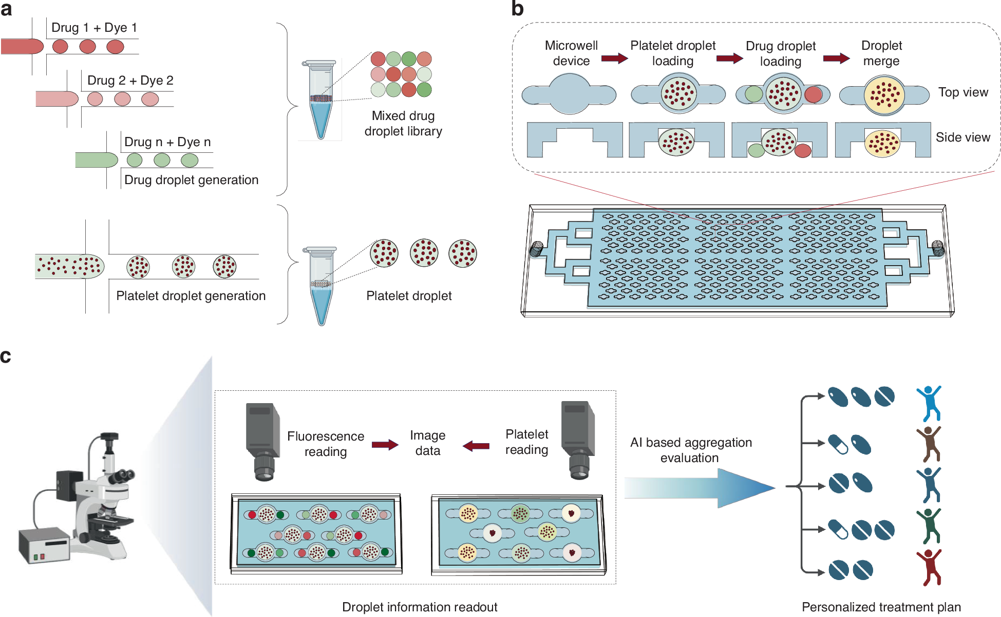Fig. 1: Overview of the combinatorial screening chip (C-chip).