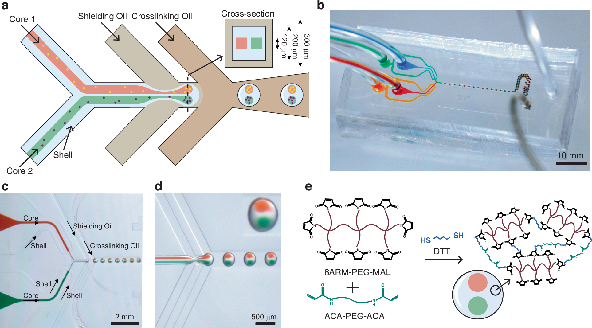 Fig. 1: Fabrication of multi-compartment microcapsules.
