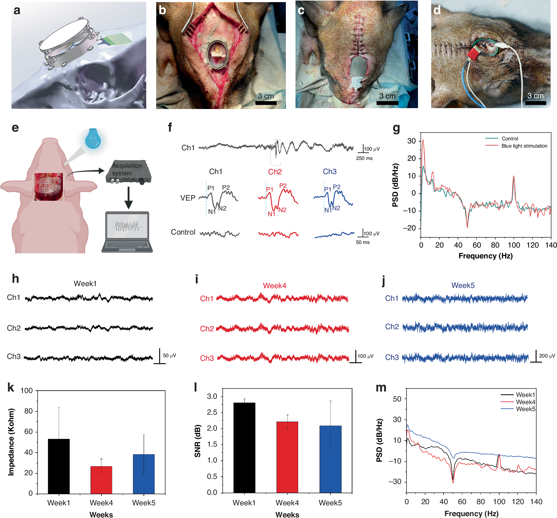 Fig. 7: Results of visual stimulation and chronic in vivo neural signal recording.