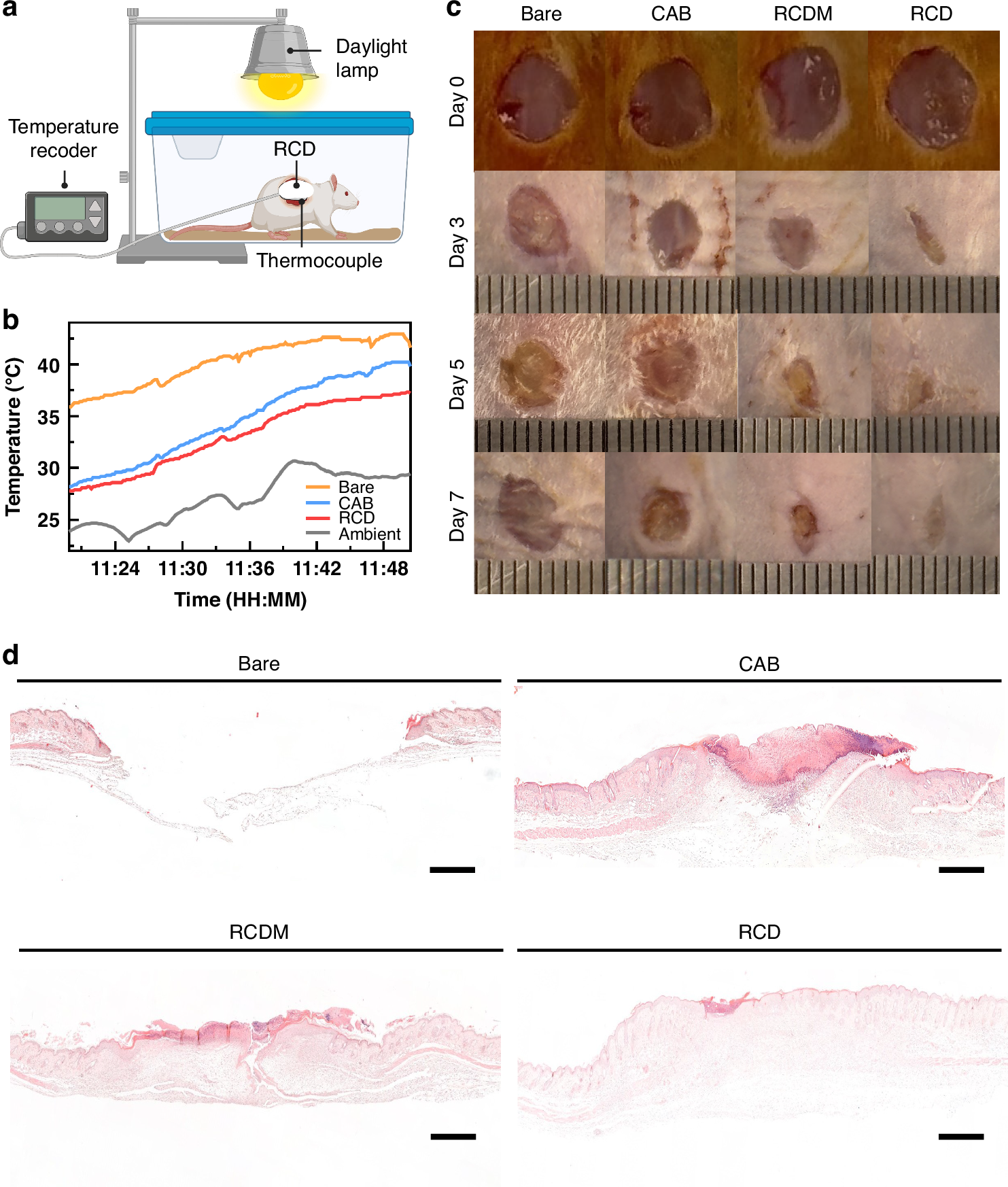 Fig. 6: In vivo wound healing and temperature monitoring.