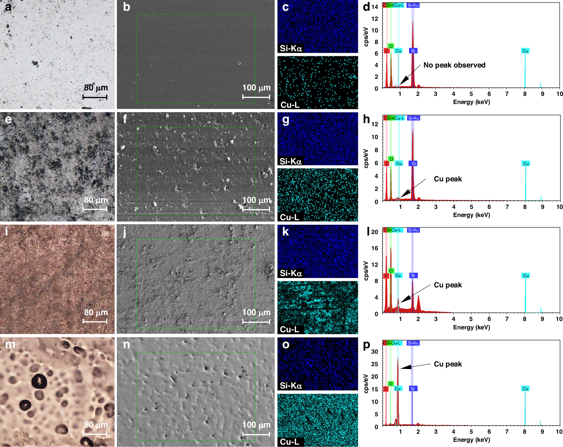 Fig. 2: Multiscale characterizations of the copper deposition process.
