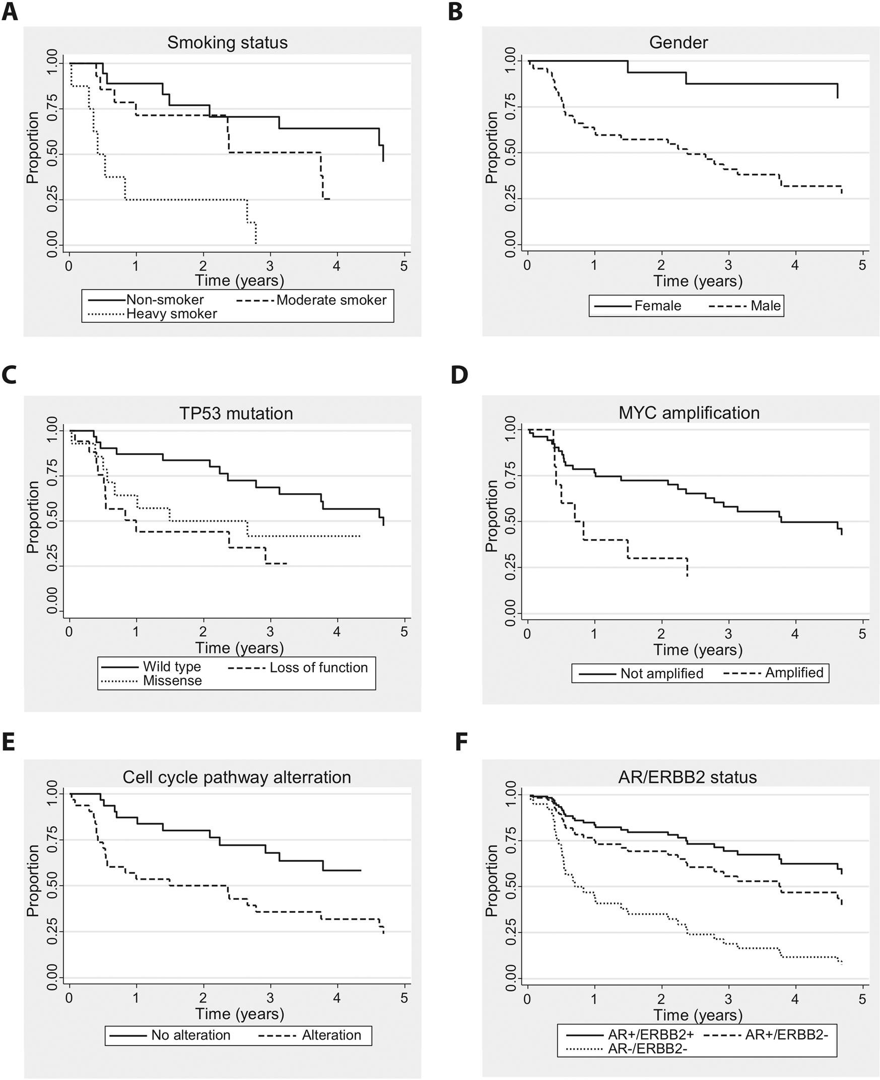 Fig. 7: Kaplan–Meier curves illustrating disease-free survival (DFS) of patients suffering from salivary duct carcinoma (SDCa).