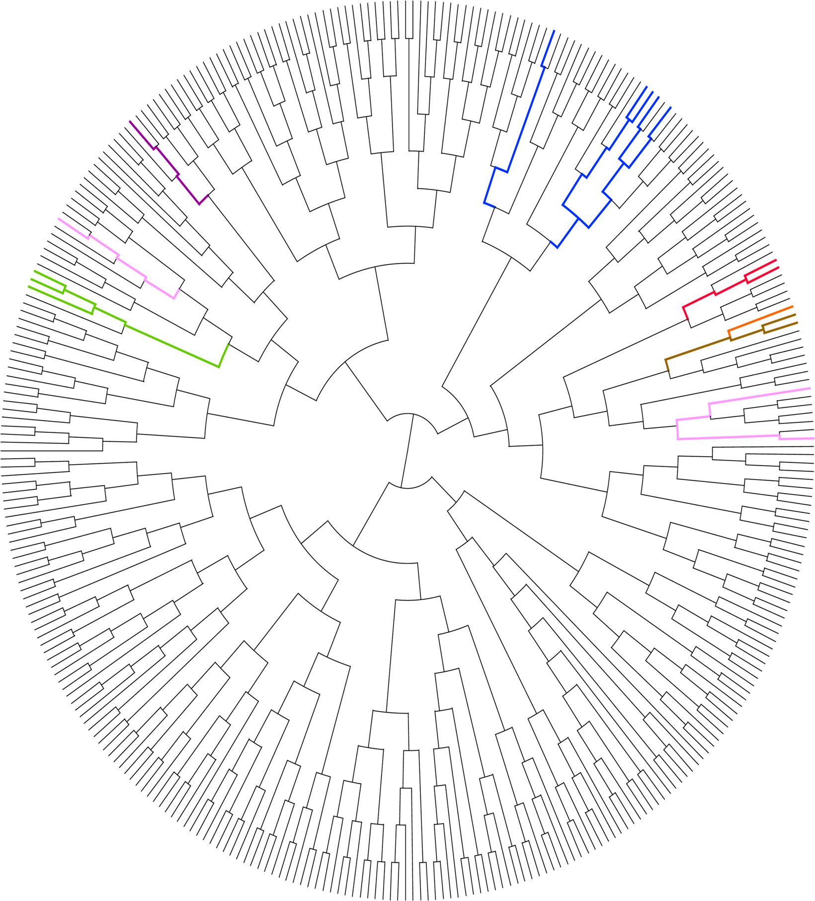 Fig. 4: Unsupervised clustering using TruSight RNA Fusion Panel gene expression shows EWSR1–CREM fusion-positive lesions group together but separate from other EWSR1–CREB positive tumor entities.