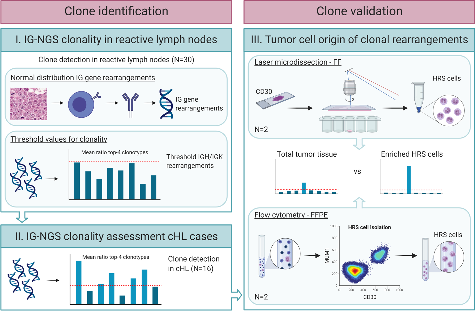 Clonality assessment and detection of clonal diversity in classic Hodgkin  lymphoma by next-generation sequencing of immunoglobulin gene  rearrangements | Modern Pathology