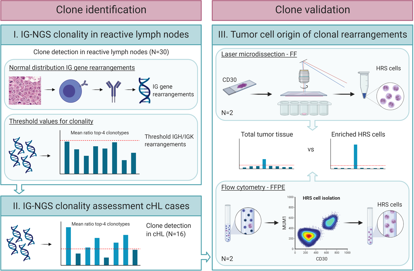 Omgekeerd basketbal verzonden Clonality assessment and detection of clonal diversity in classic Hodgkin  lymphoma by next-generation sequencing of immunoglobulin gene  rearrangements | Modern Pathology