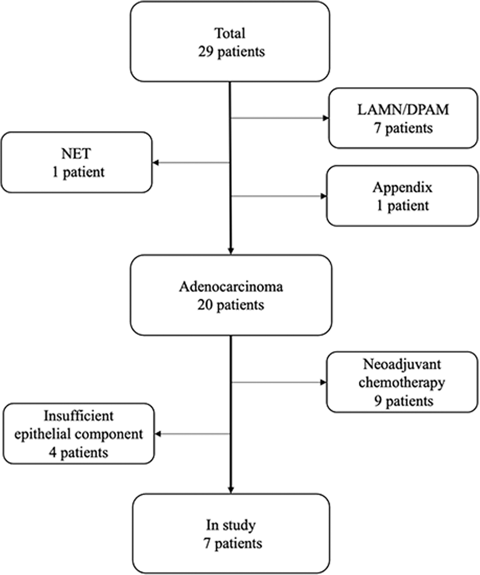 Delineating the intra-patient heterogeneity of molecular alterations in  treatment-naïve colorectal cancer with peritoneal carcinomatosis | Modern  Pathology