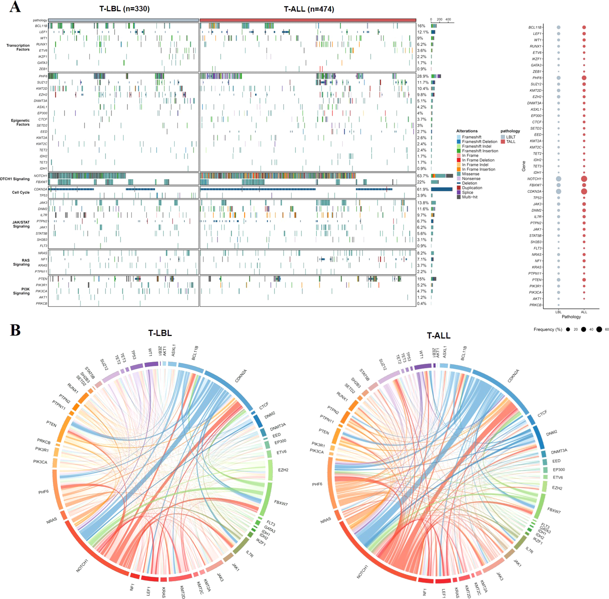Oncogenetic Landscape Of T Cell Lymphoblastic Lymphomas Compared To T Cell Acute Lymphoblastic Leukemia Modern Pathology