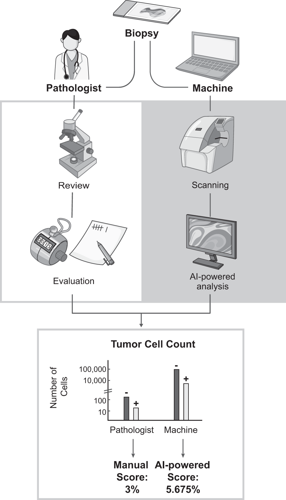 Association of artificial intelligence-powered and manual quantification of  programmed death-ligand 1 (PD-L1) expression with outcomes in patients  treated with nivolumab ± ipilimumab | Modern Pathology