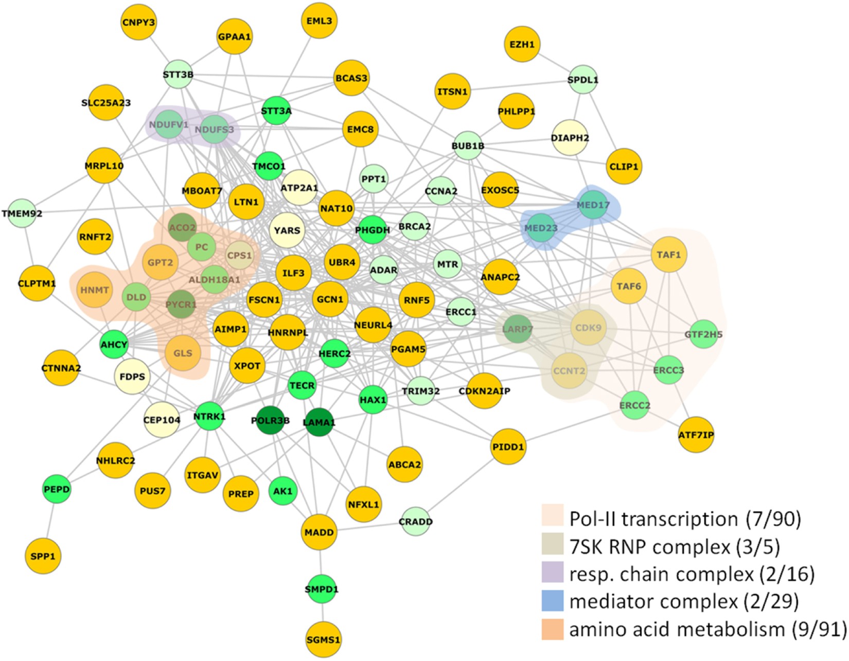 Genetics of intellectual disability in consanguineous families | Molecular  Psychiatry