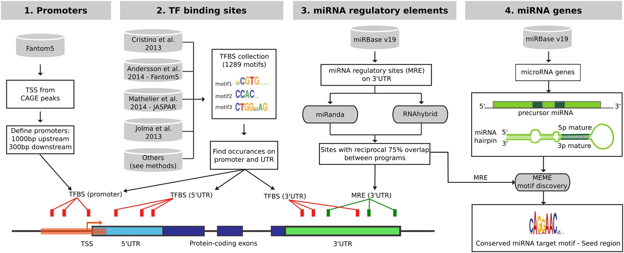 Inherited Variations In Noncoding >> An Integrative Analysis Of Non Coding Regulatory Dna Variations Inherited Variations In Noncoding >> An Integrative Analysis Of Non Coding Regulatory Dna Variations