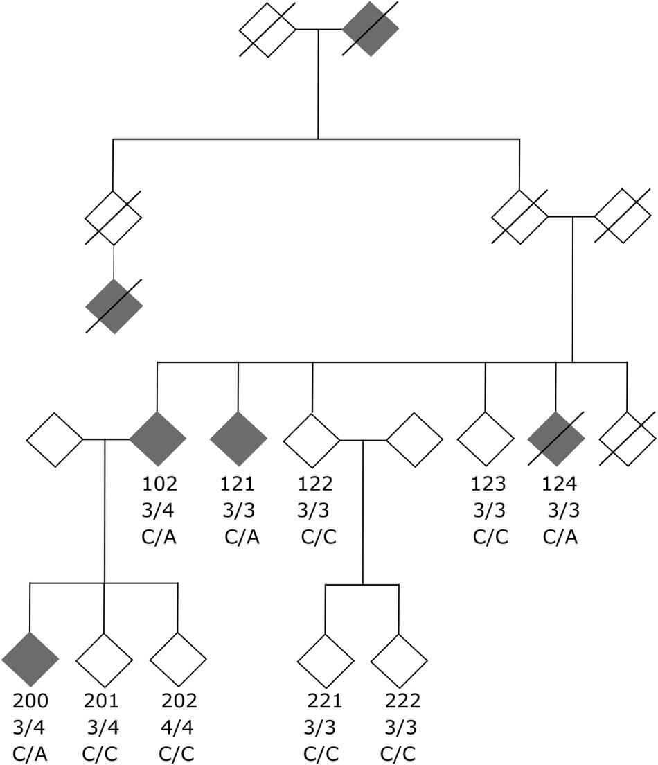 Frank Singleton Chart List