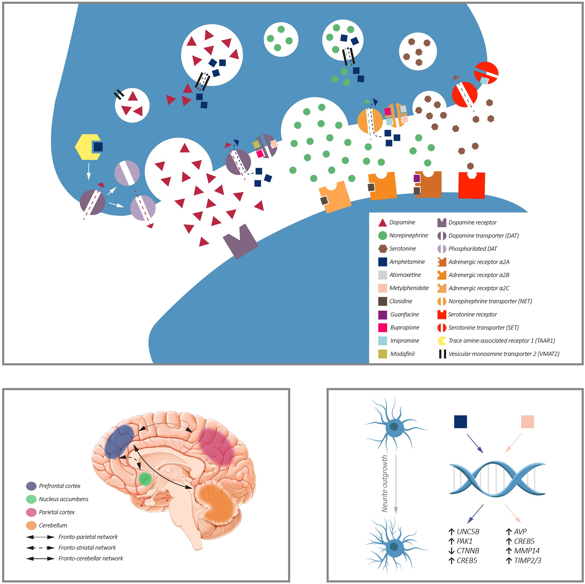 Beyond Medication Evidence Based Adhd >> Treatment Strategies For Adhd An Evidence Based Guide To Select Beyond Medication Evidence Based Adhd >> Treatment Strategies For Adhd An Evidence Based Guide To Select