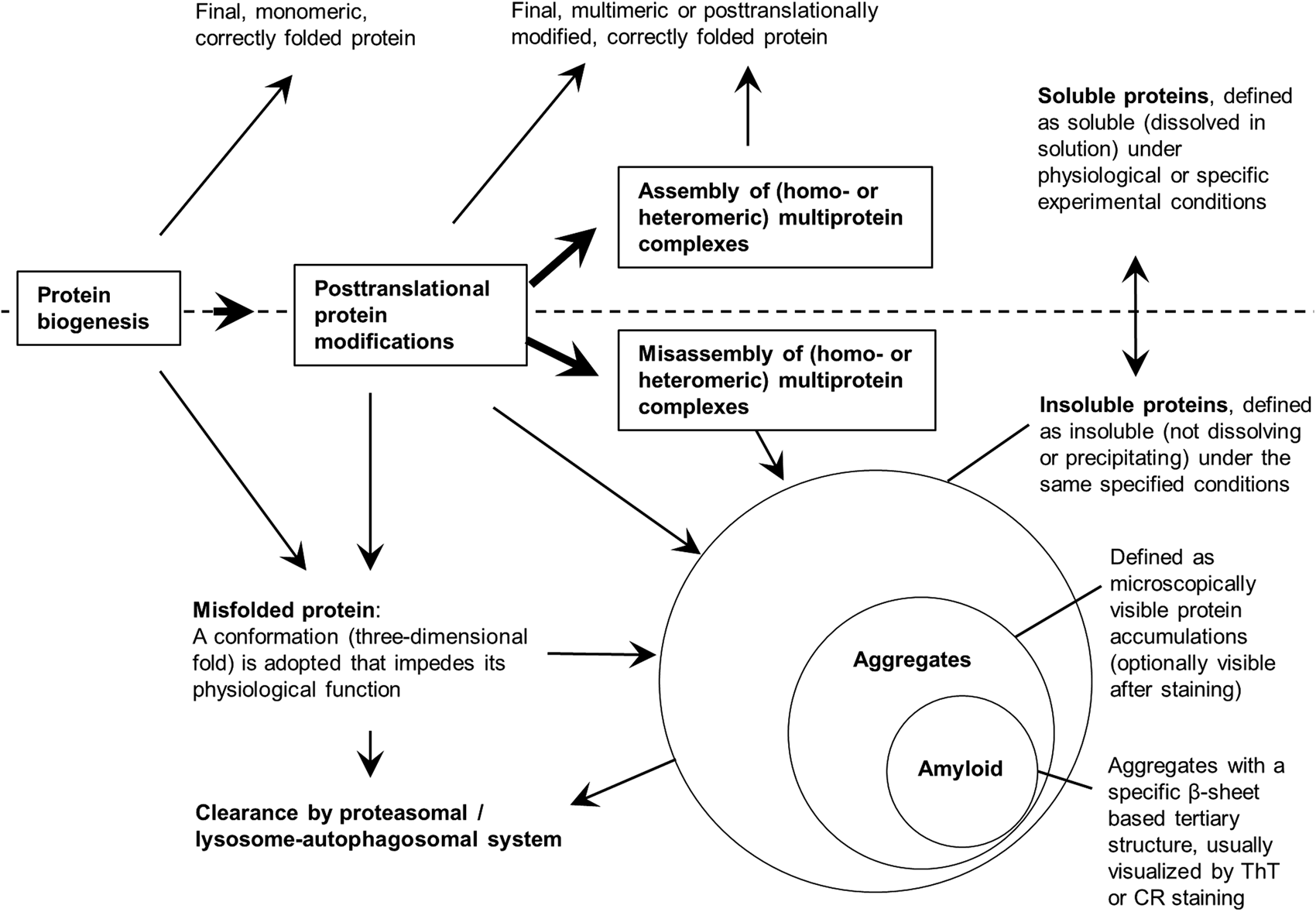 protein misassembly and aggregation as potential convergence points