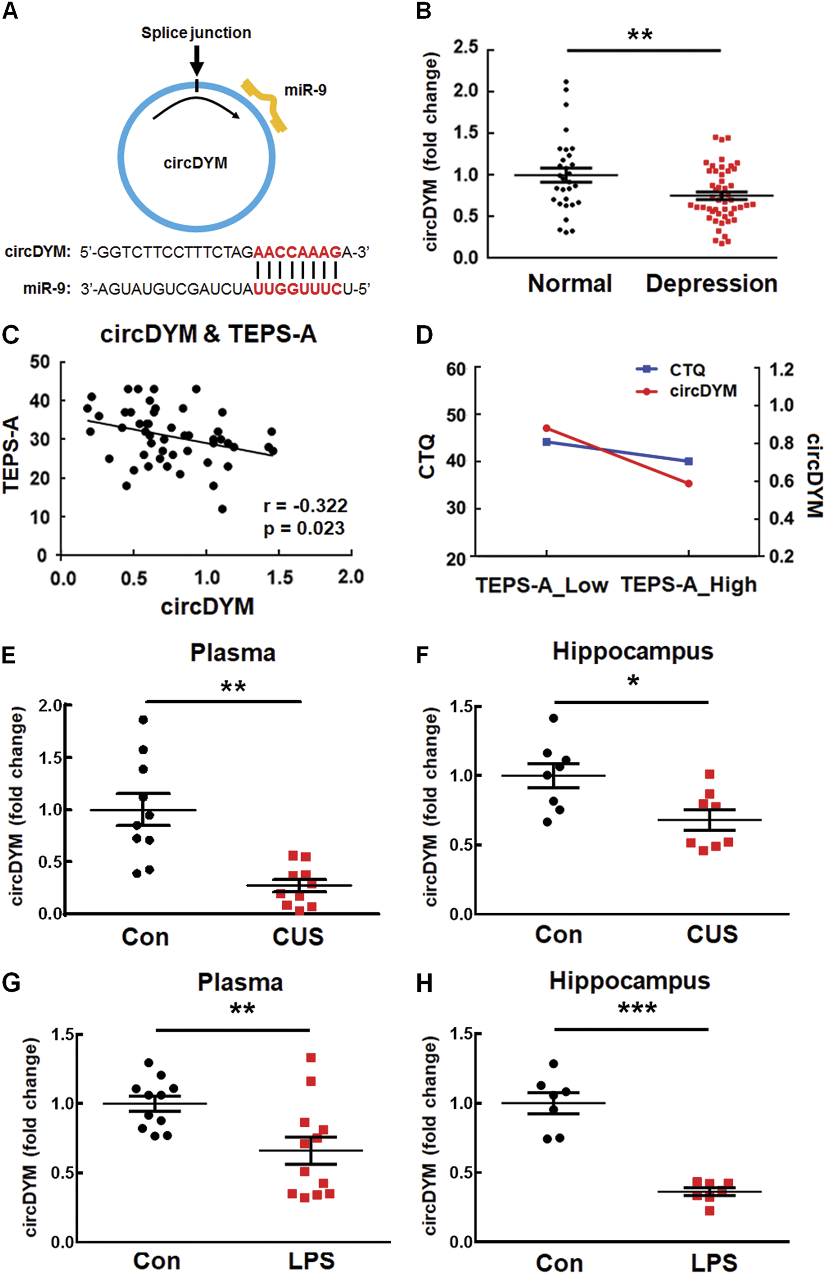 CircDYM ameliorates depressive-like behavior by targeting miR-9 to regulate  microglial activation via HSP90 ubiquitination | Molecular Psychiatry