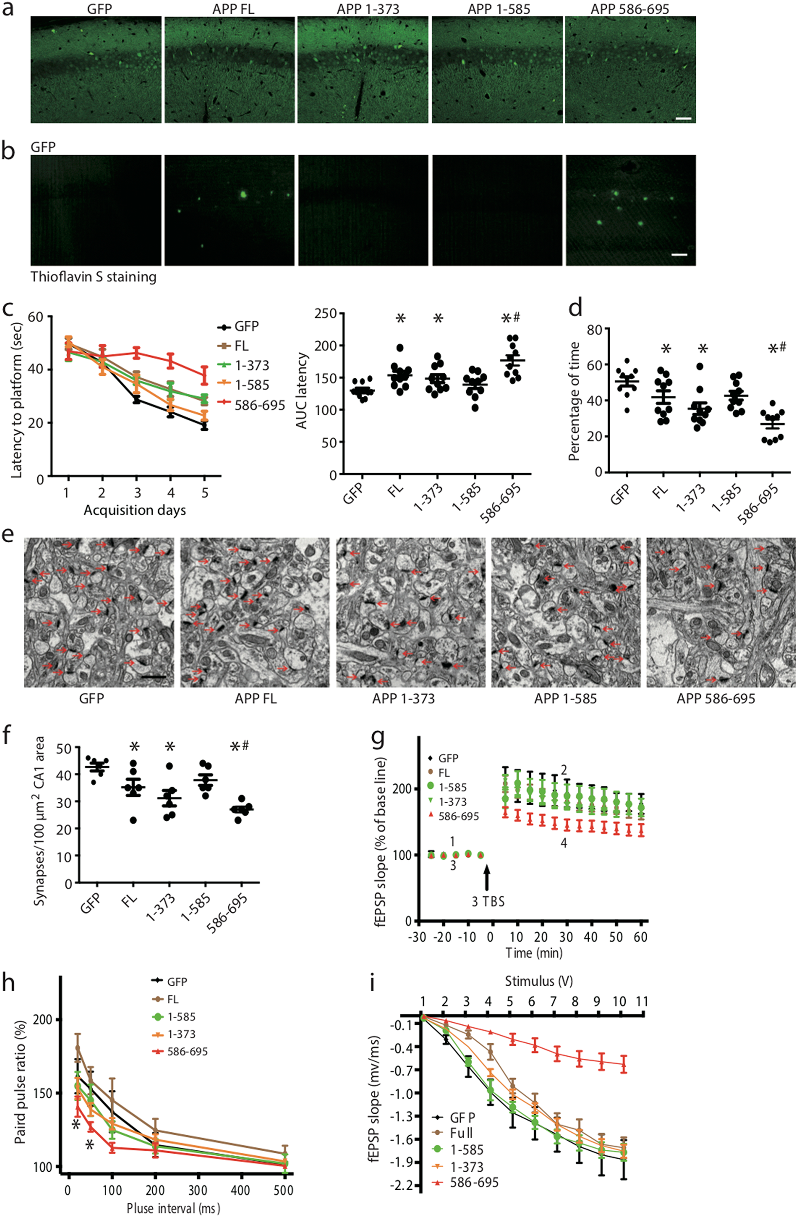 δ-Secretase-cleaved Tau stimulates Aβ production via upregulating  STAT1-BACE1 signaling in Alzheimer's disease | Molecular Psychiatry