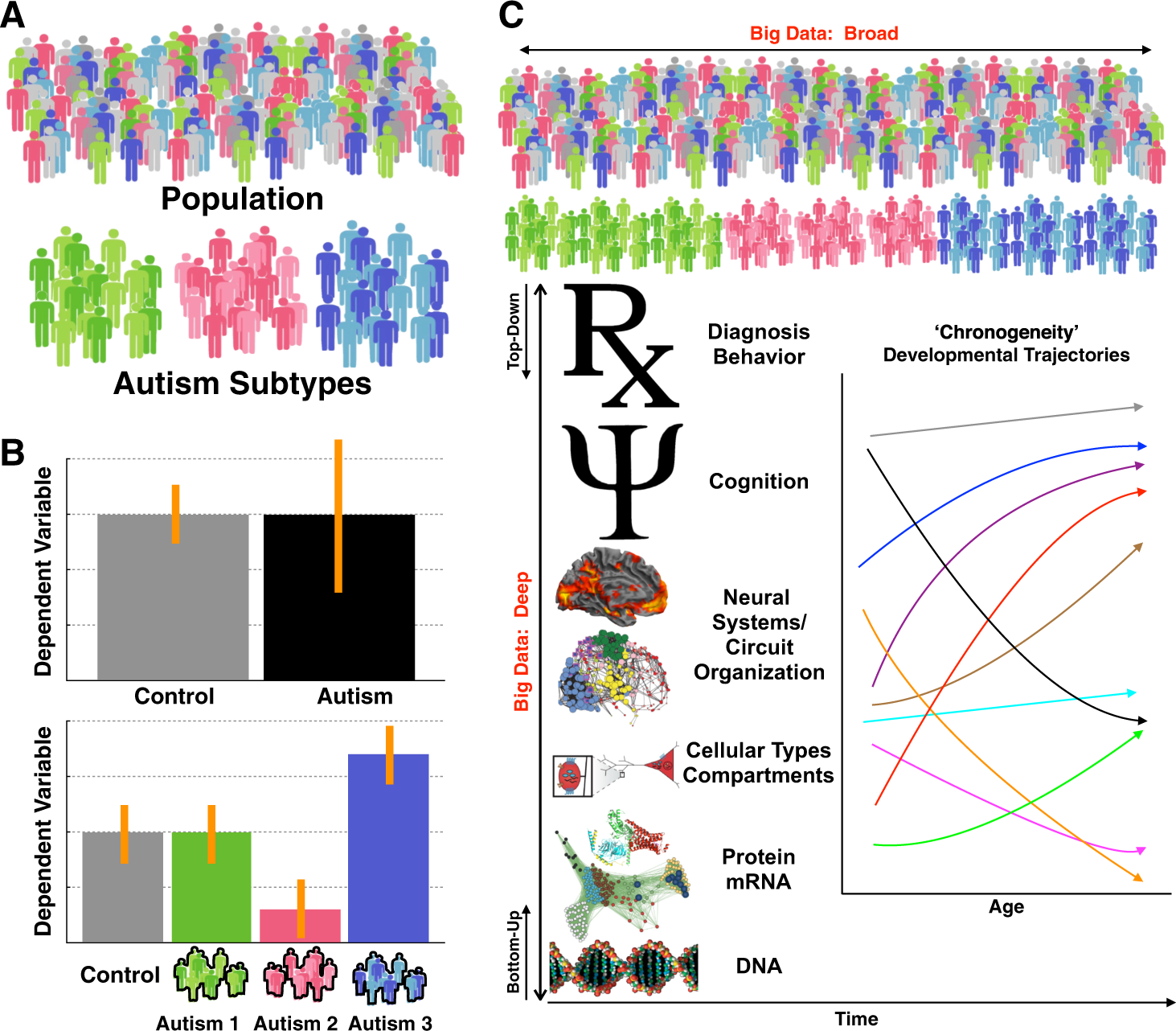 Big data approaches to decomposing heterogeneity across the autism spectrum  | Molecular Psychiatry