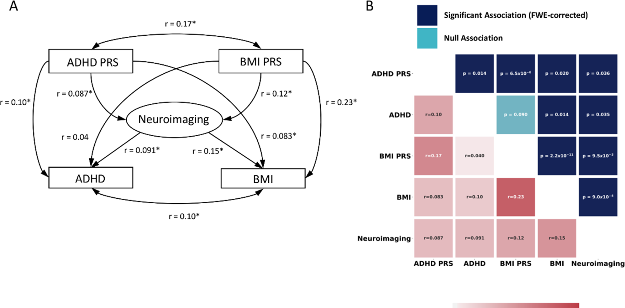 Do Adhd Impulsivity And Bmi Have Shared Polygenic And Neural