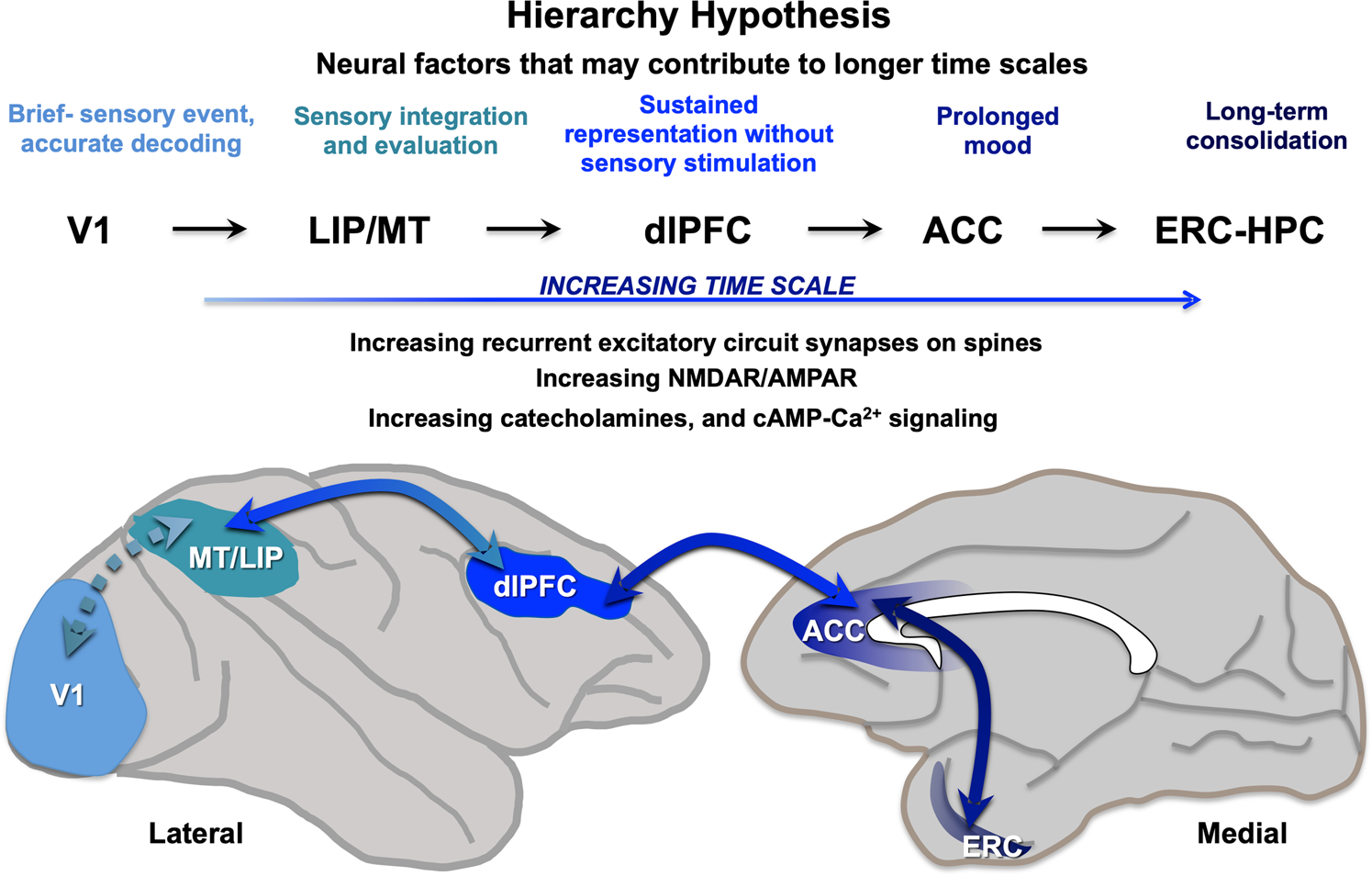 Alex Bernier on X: Assess and stimulate this connection with one