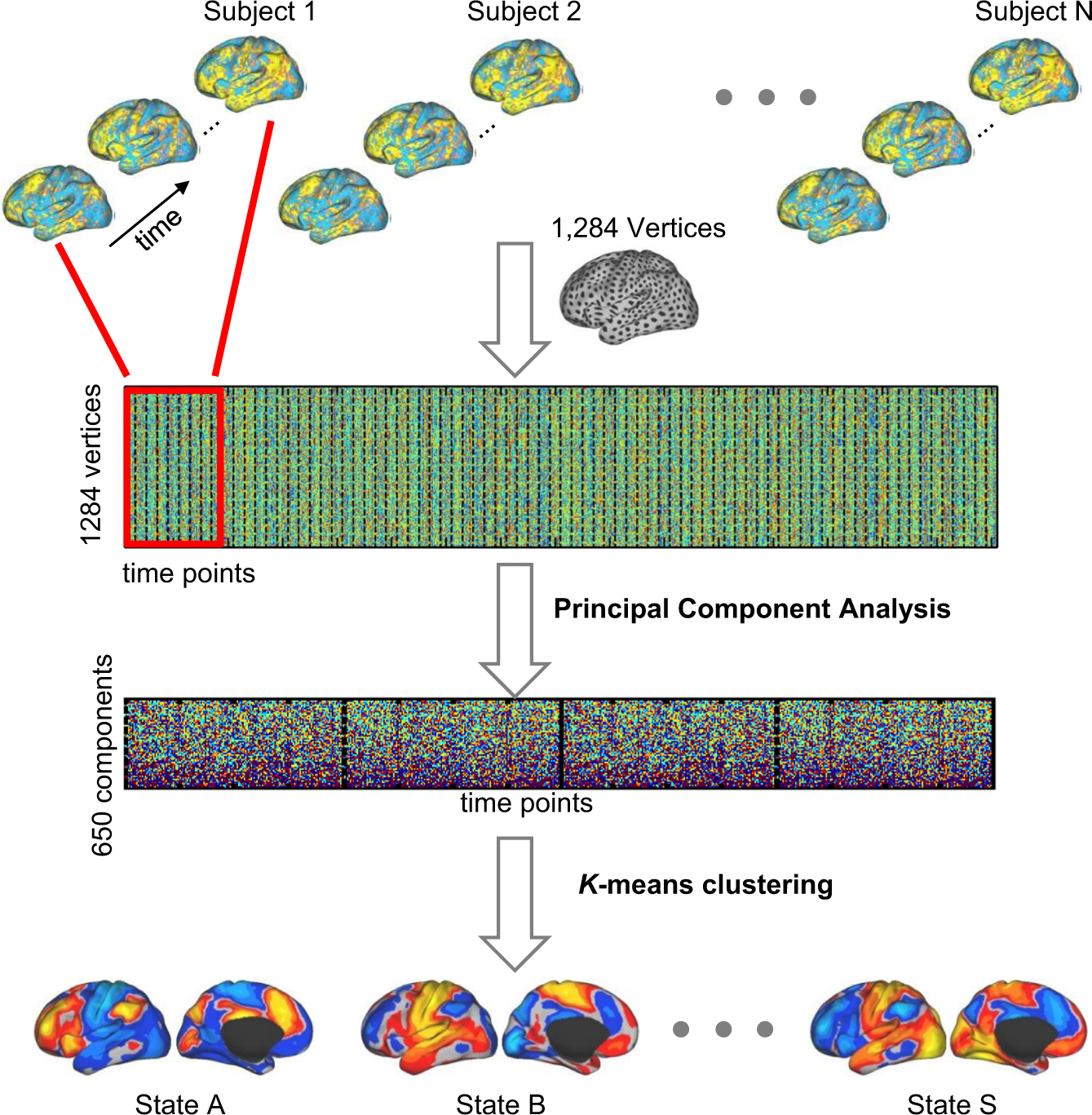 Fig. 1: Strategy for estimating brain network states from resting state fMRI.