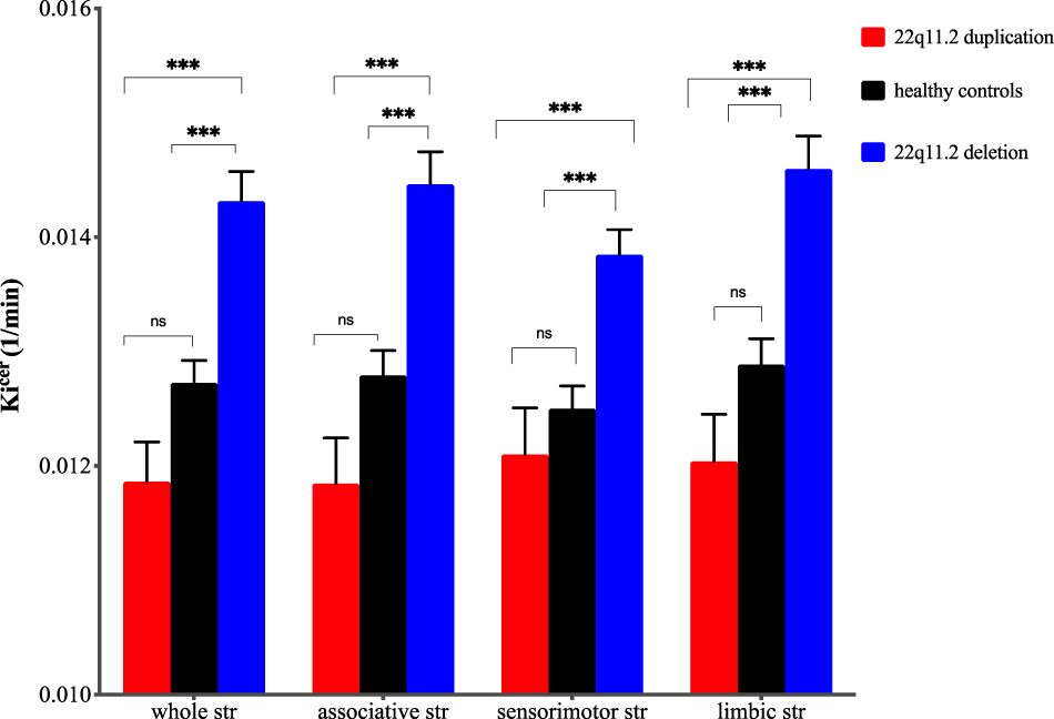 Fig. 2: Mean dopamine synthesis capacity (Kicer, 1/min) by group in whole striatum (str) and functional subdivisions.