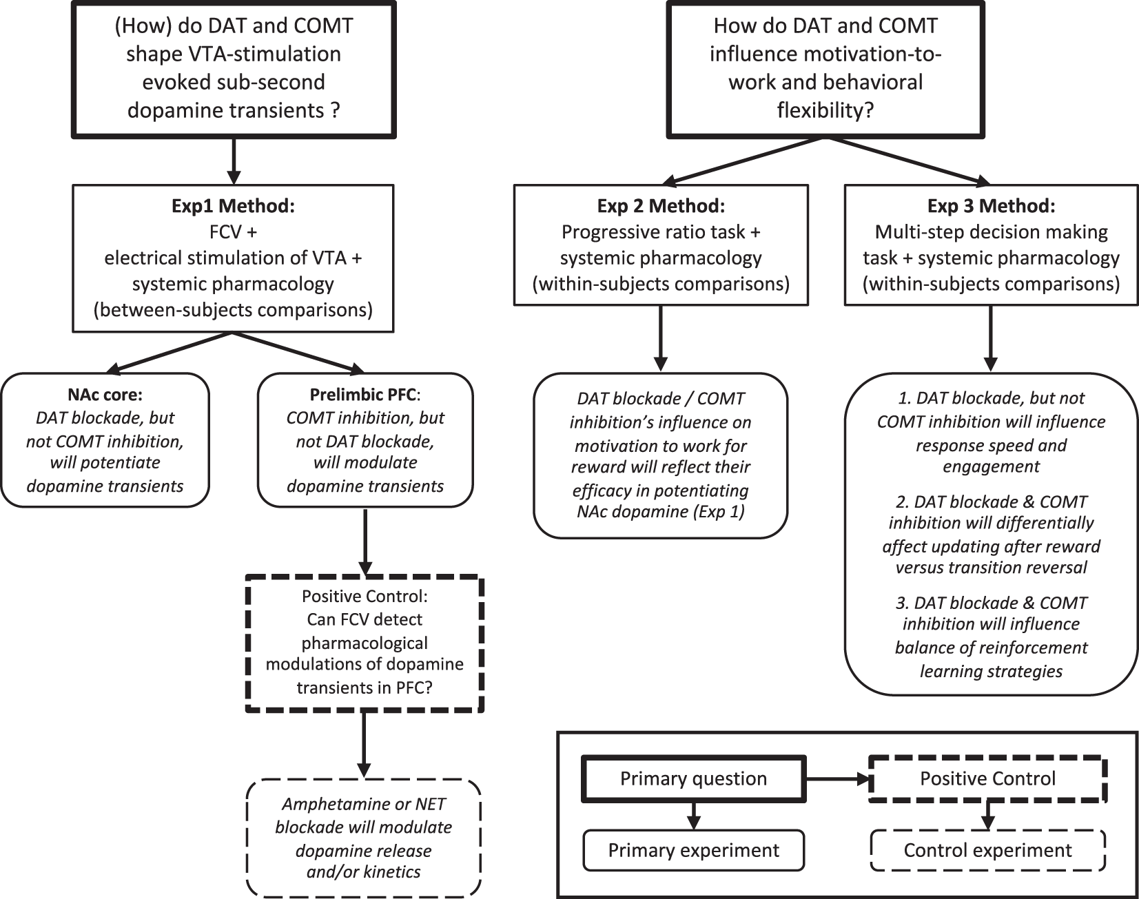 distinct-roles-for-dopamine-clearance-mechanisms-in-regulating-behavioral-flexibility-molecular-psychiatry