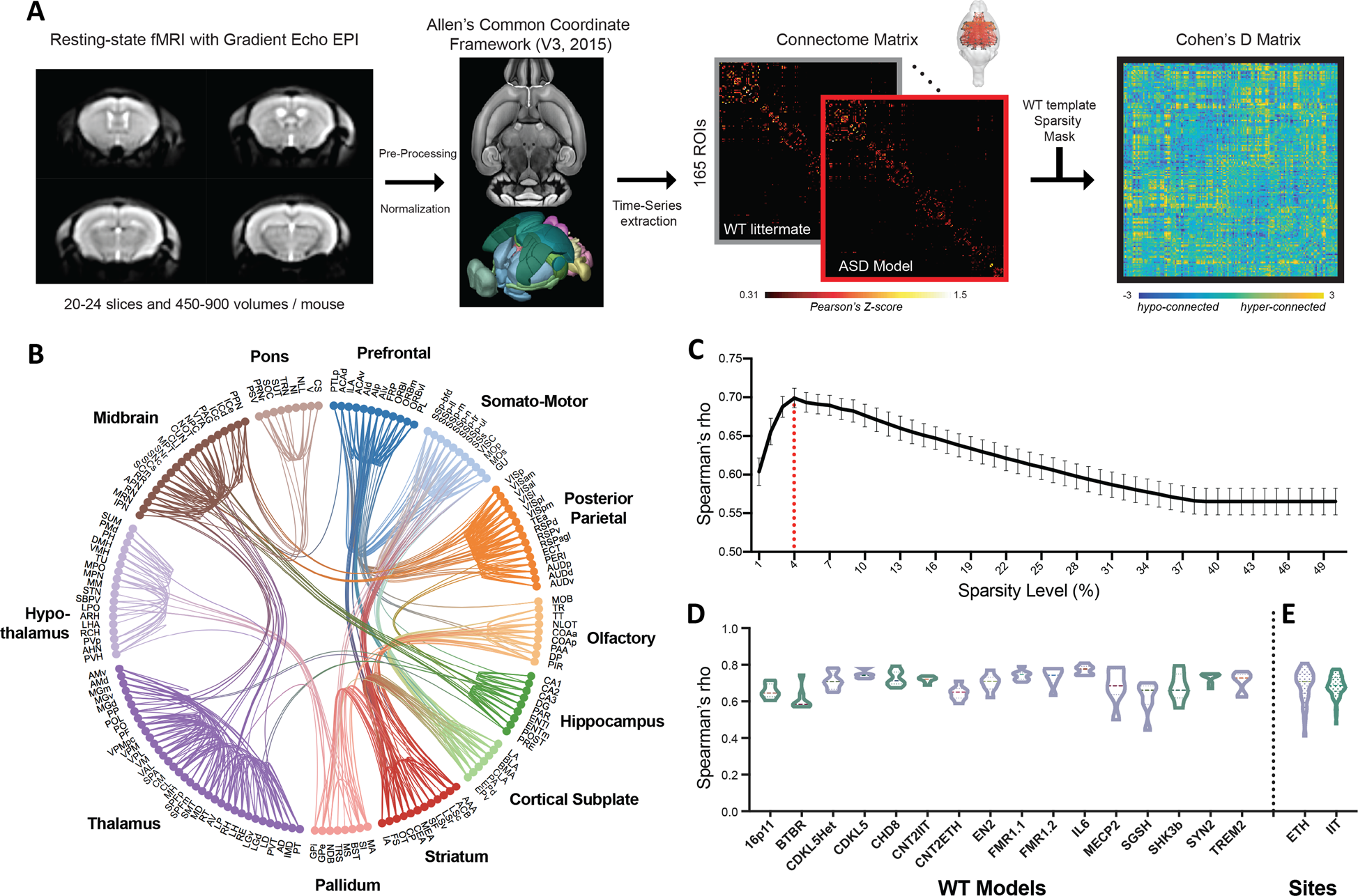 Comparison of mouse models reveals a molecular distinction between