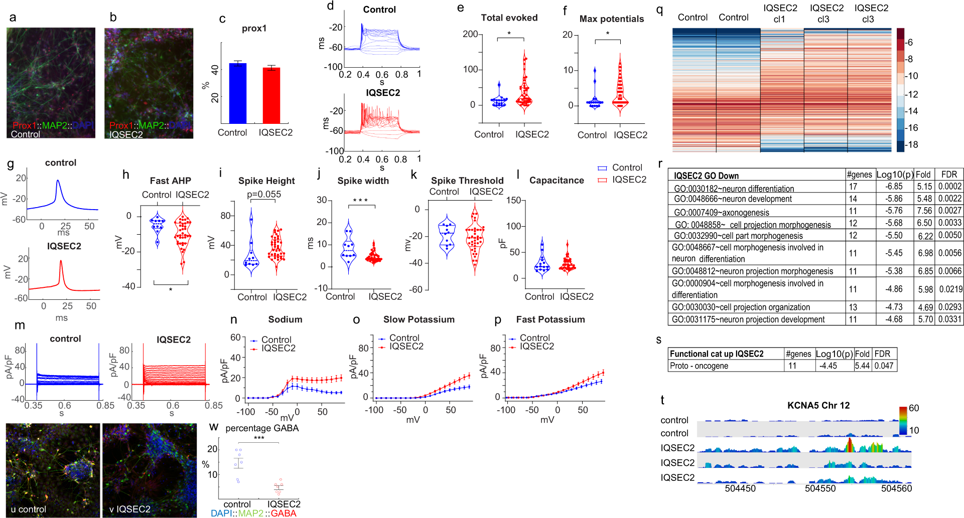 iqsec2 mutation associated with epilepsy intellectual disability and autism results in hyperexcitability of patient derived neurons and deficient synaptic transmission molecular psychiatry